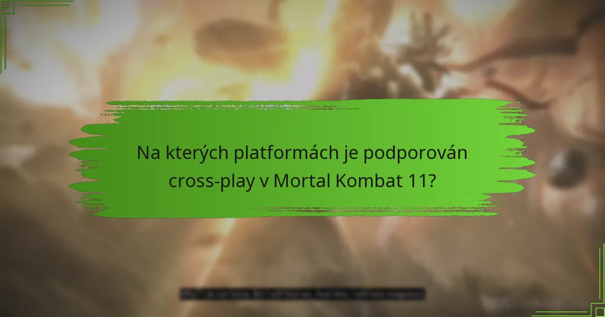 Jaký další obsah mohu zakoupit pro Mortal Kombat 11?